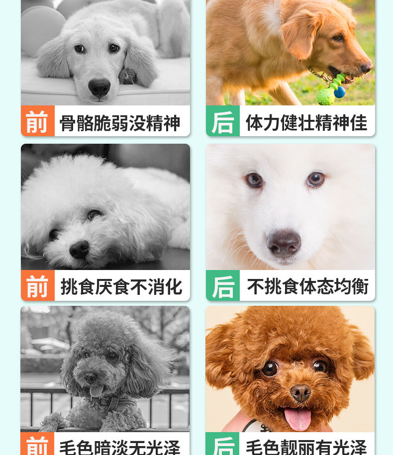 小虎雀 小虎雀 狗粮通用型泰迪金毛比熊萨摩耶成犬幼犬大小型犬2斤