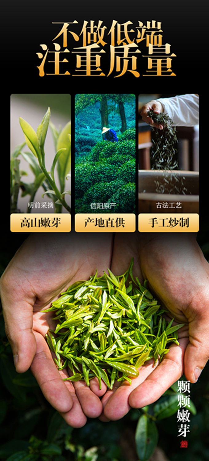 田道谷 【嫩芽1斤】明前手工毛尖茶叶绿茶信阳新茶浓香耐泡醇厚炒青