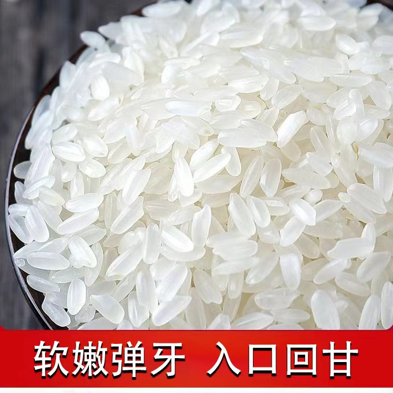 掌中禾 黑龙江东北大米5kg长粒香米粳米10斤20斤50斤粮油农产品