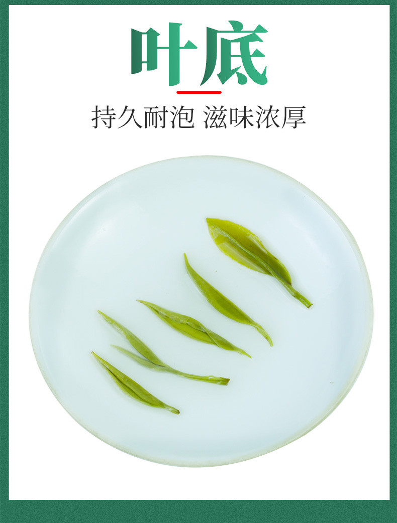 2023年春茶叶明前茶湖北绿茶五峰毛尖雨品特级绿茶250g