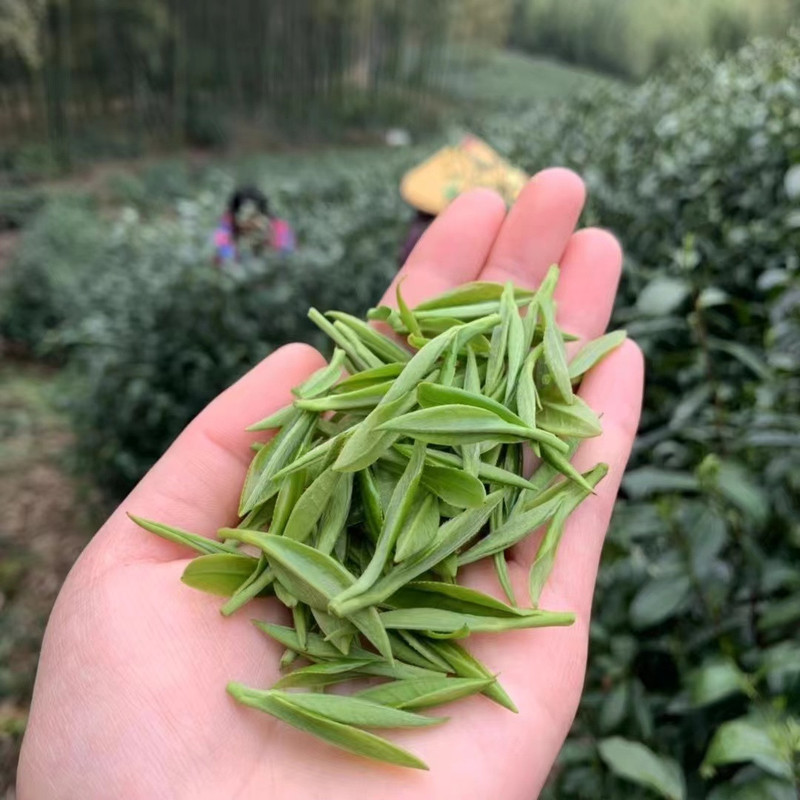 农家自产 径山二级茶叶250g