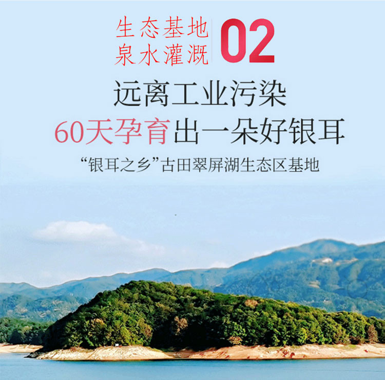 有机本草燕耳纯银耳羹特级白木耳干货古田冲泡即食碎80克