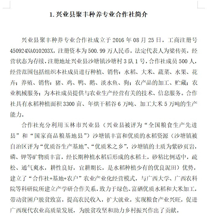 桂兴稻泽 正宗玉林兴业沙塘聚丰米