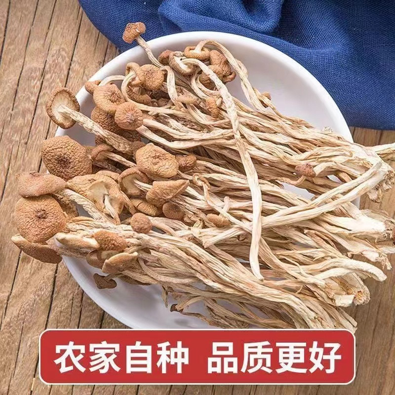 农家自产 陕南茶树菇