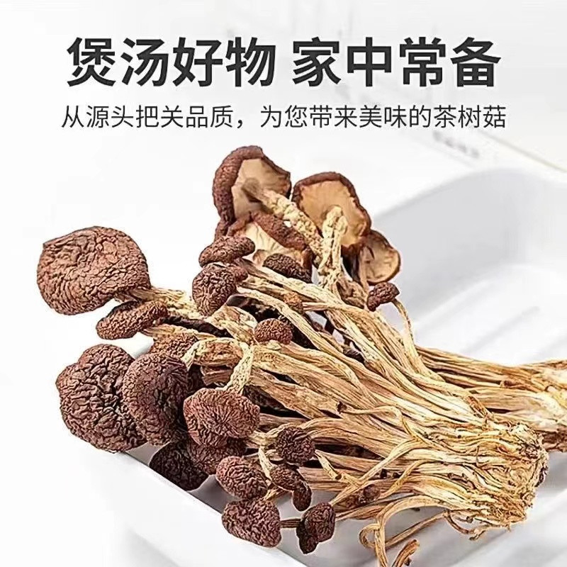农家自产 陕南茶树菇