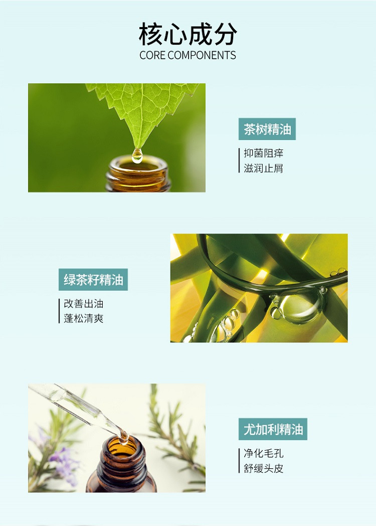  【关晓彤同款】 舒蕾  绿茶籽控油去屑洗发露500ml/瓶