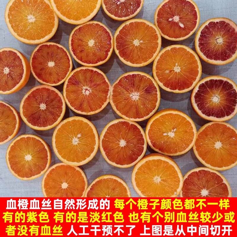 农家自产 四川资阳塔罗科8号晚熟血橙