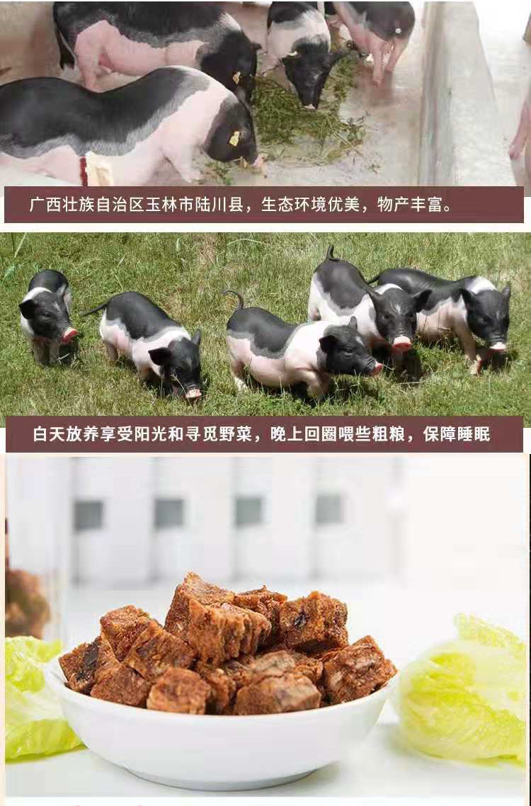 十六姑  广西玉林陆川猪特产   猪肉丁125g  肉香美味  唇口留香