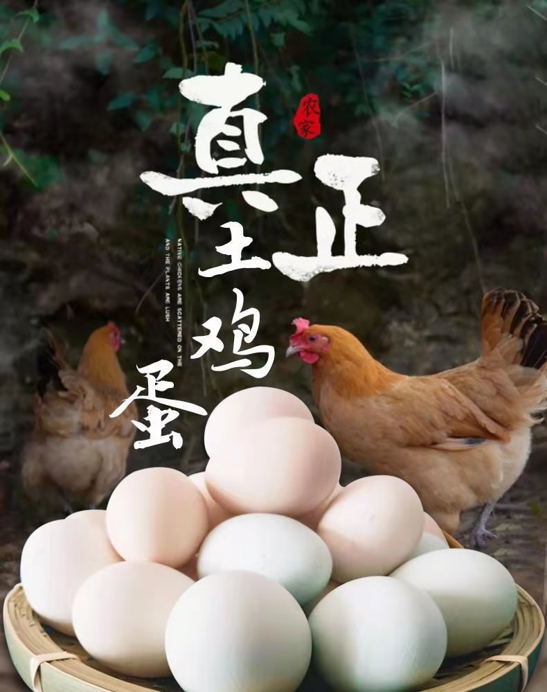 农家自产 土鸡蛋乌鸡蛋混合装30枚【精品】