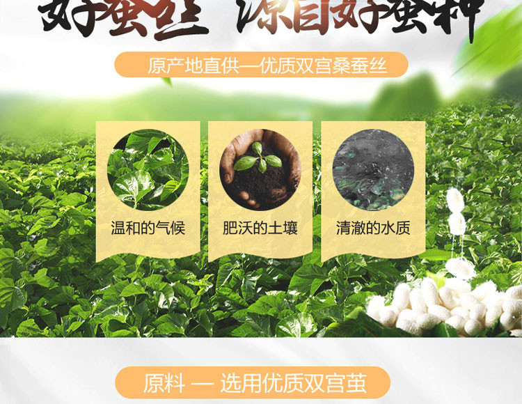 竣程 双宫茧桑蚕丝被