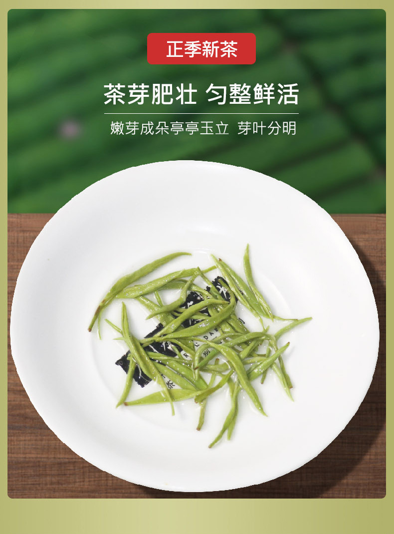 玉皇剑 明睿正字毛尖茶4g*75泡