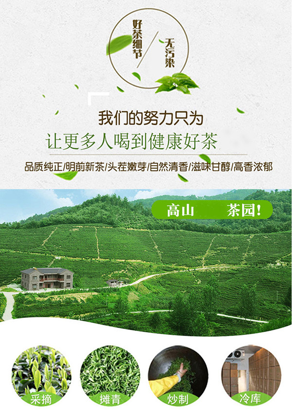 玉皇剑 明睿正字毛尖茶4g*75泡