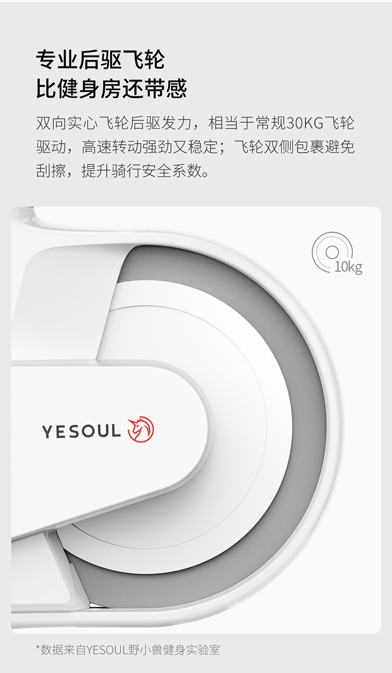 野小兽 YESOUL新款健身房家用智能动感单车磁控运动健身车 V1蓝牙款【典雅白】