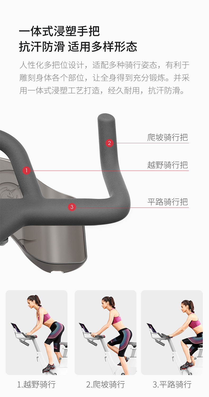 野小兽 YESOUL新款健身房家用智能动感单车磁控运动健身车 V1蓝牙款【典雅白】