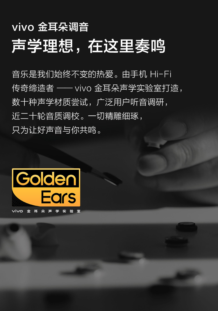 vivo TWS 2 真无线降噪蓝牙耳机智能动态降噪超清音频30h续航88ms低延迟手机