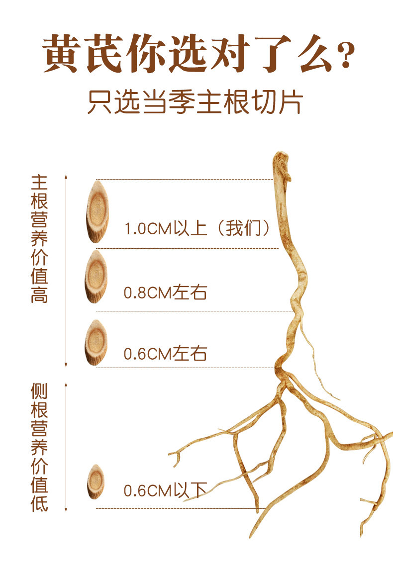 1送1共500克甘肃岷县黄芪野生正品旗舰店可搭配党参地道