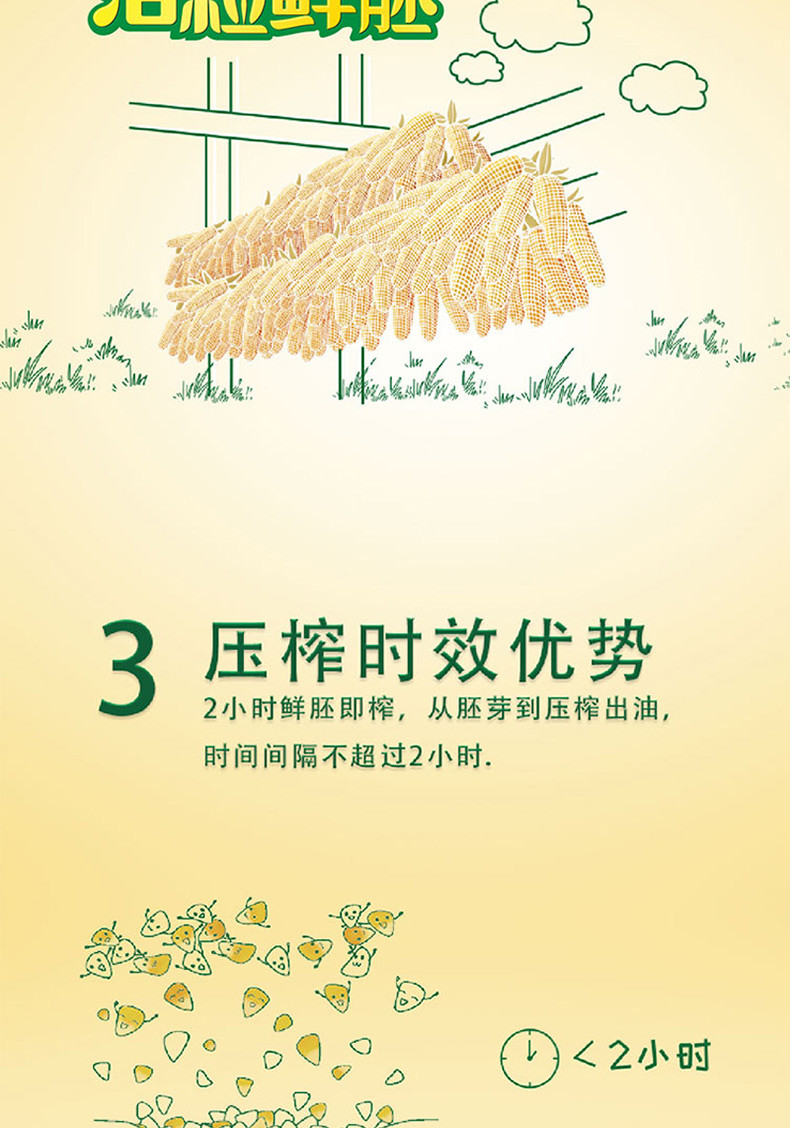 福临门 营养家活粒鲜胚玉米胚芽油5L