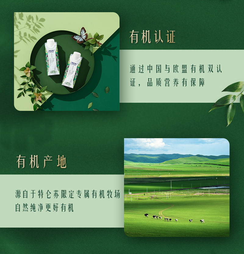 特仑苏 有机纯牛奶梦幻盖（3.8g乳蛋白）250ml*10