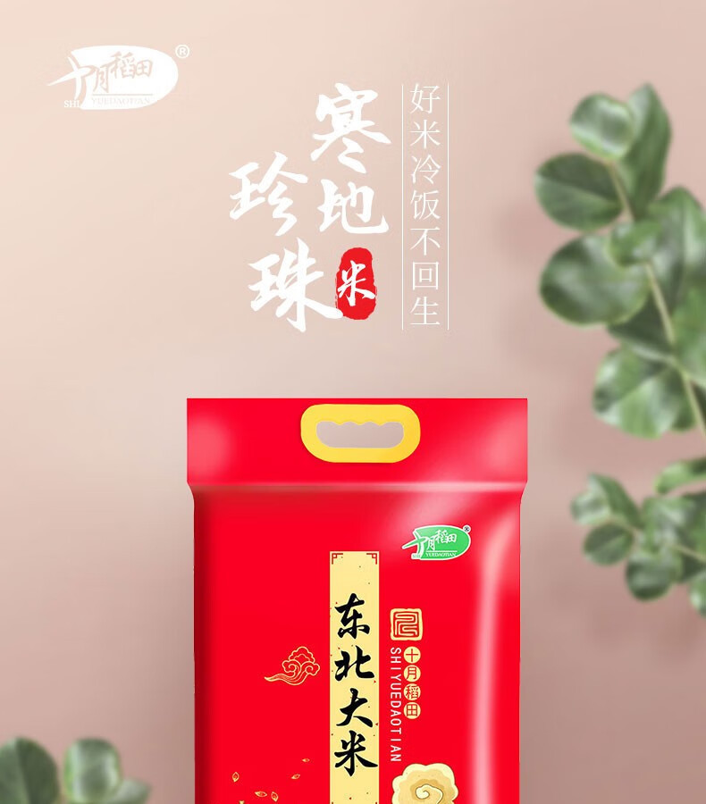 十月稻田 东北大米5kg