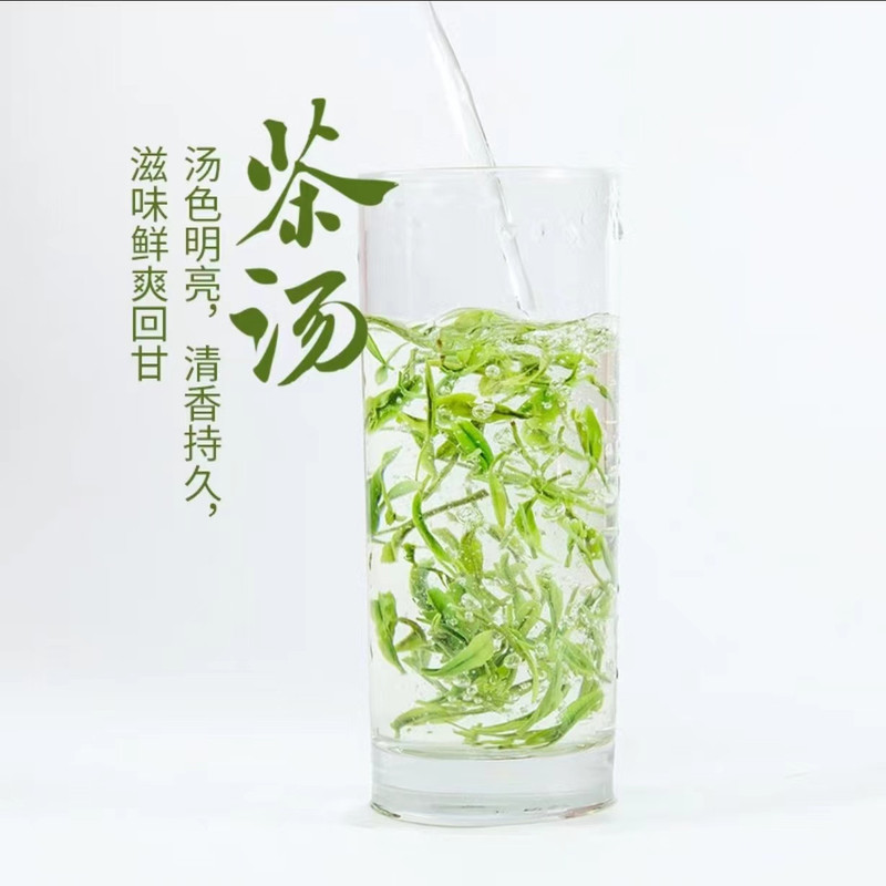 山水人家 （河北优选）2024玉露绿茶（品鉴装100g）