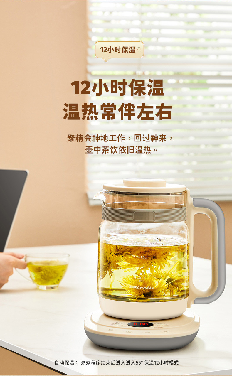 养生壶 煮茶器煎药壶烧水壶花茶壶电热水壶 1.6升家用办公套装全自动营养养生壶YSH1785