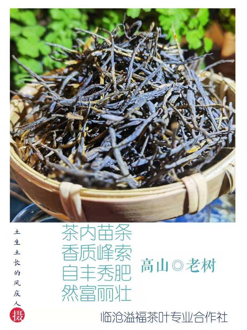 《水沐茶业》云南经典滇红凤庆蜜香滇红茶100克【复制】