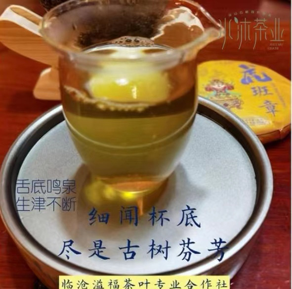 &lt;水沐茶业&gt;基地直供2021年普洱生茶虎班章生肖纪念茶 100克/ 饼+品质公杯1个