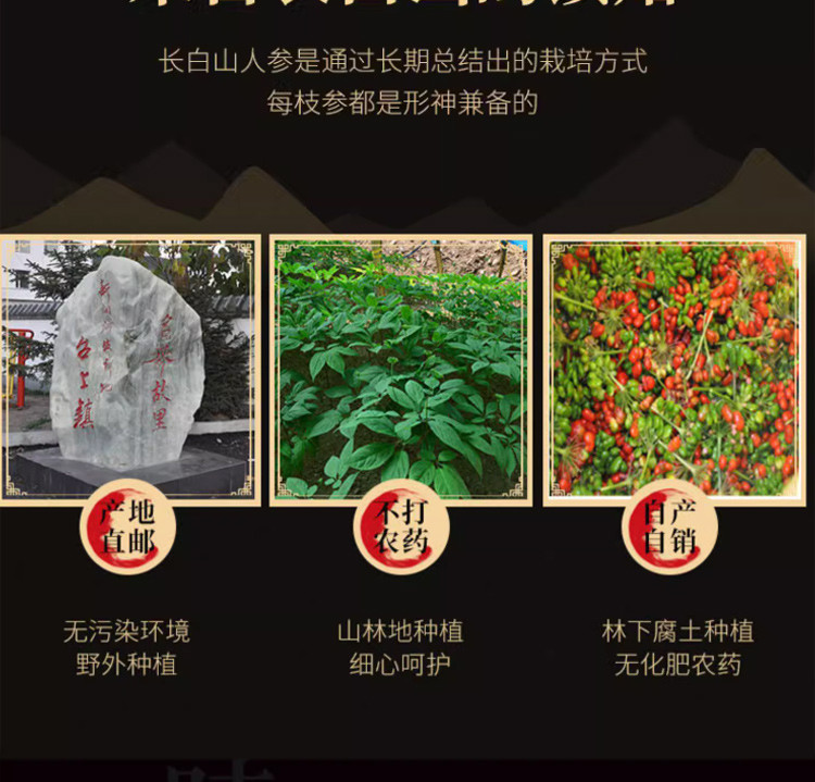 鲜山叔 长白山西洋参小片250g/1罐