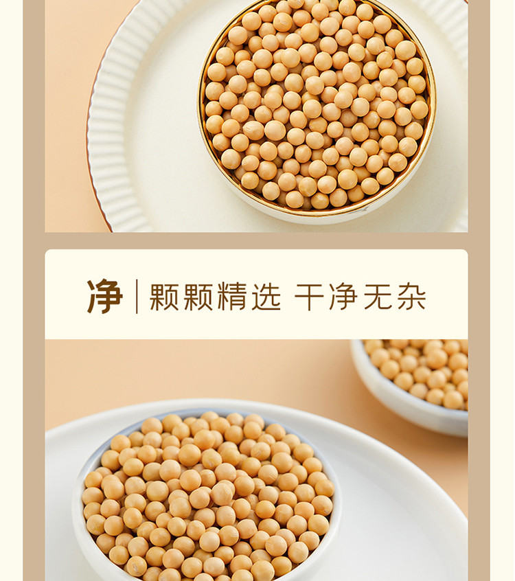 鲜山叔 东北黄豆500g/1袋