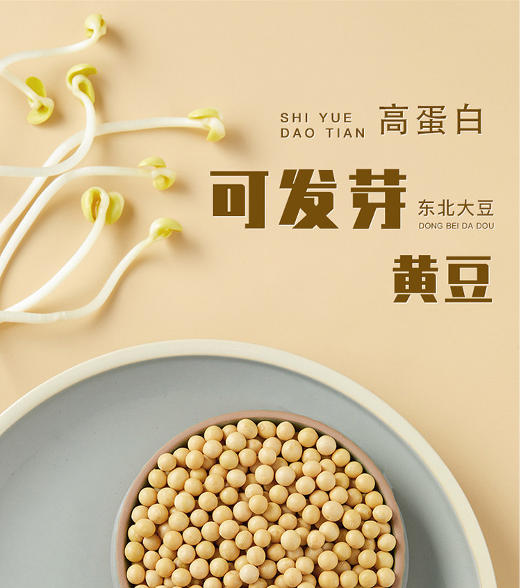 鲜山叔 东北黄豆500g/1袋