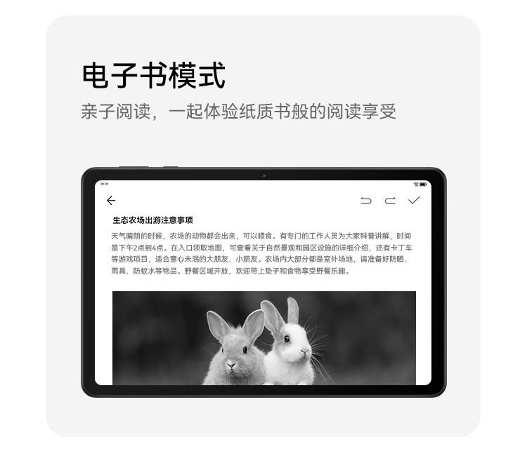 华为/HUAWEI  MatePad SE 10.36 WIFI  2023款 影音娱乐办公学习平板