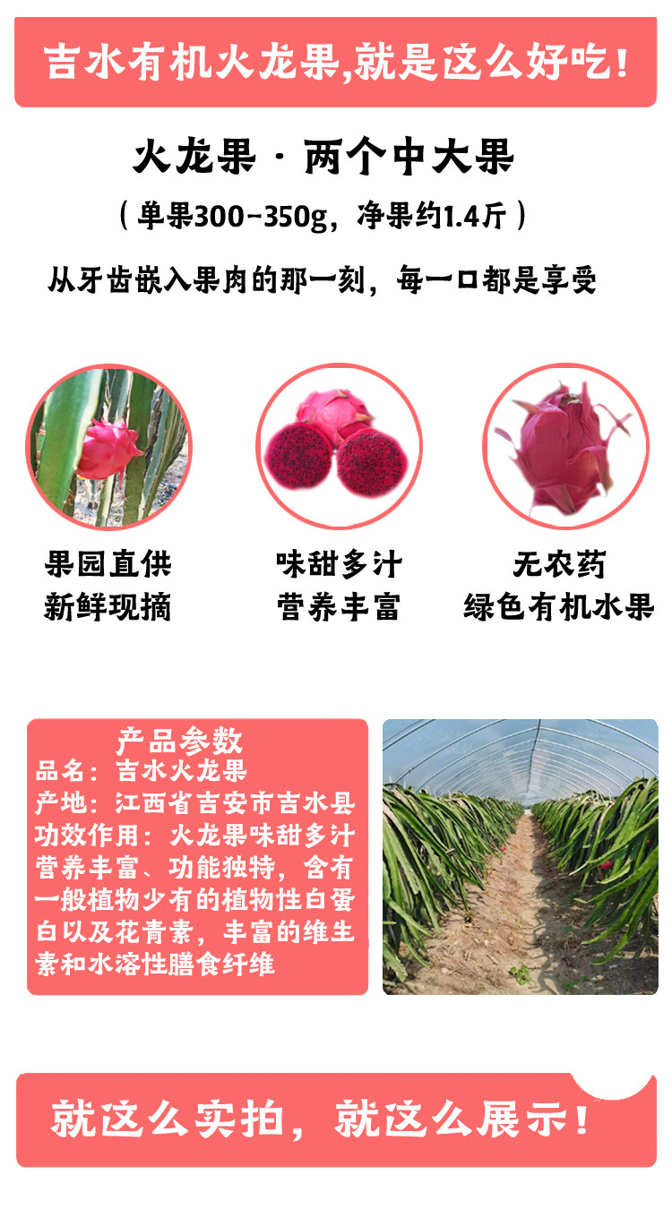 农家自产 红心火龙果4个装2.8-3斤
