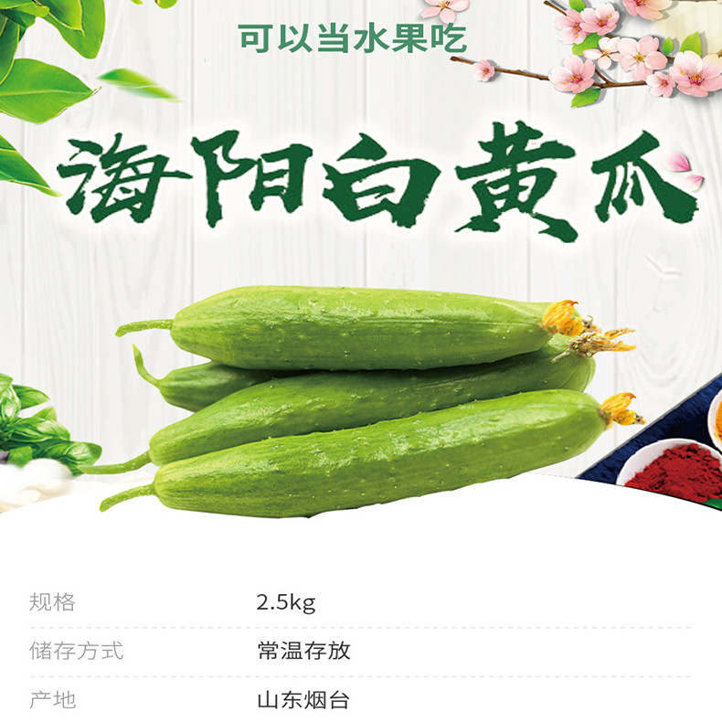  解府 海阳白玉黄瓜2.5kg新鲜采摘