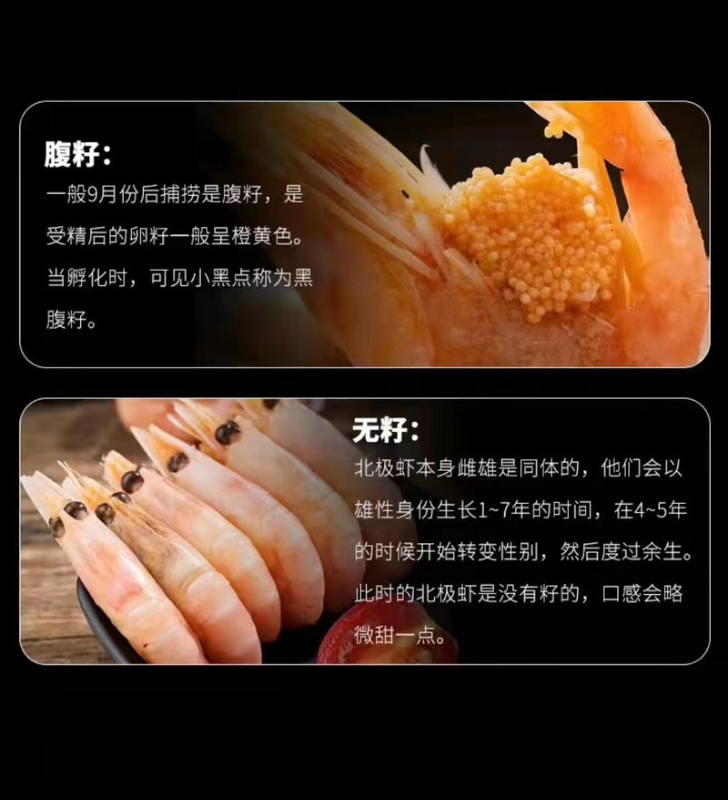 解府  北极甜虾头籽头膏1.5kg70-90只/kg顺丰空配