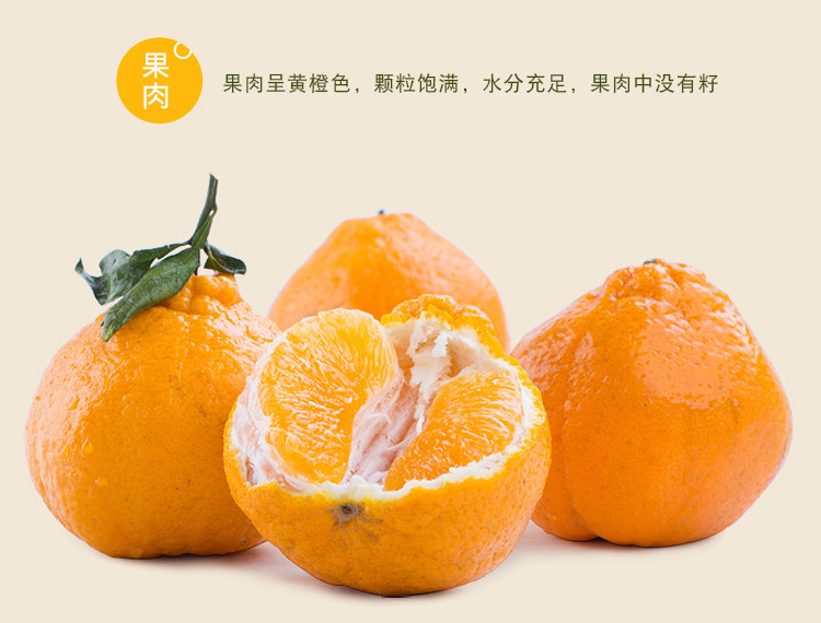  宜尚生鲜 四川丑橘 5斤 单果75-80mm