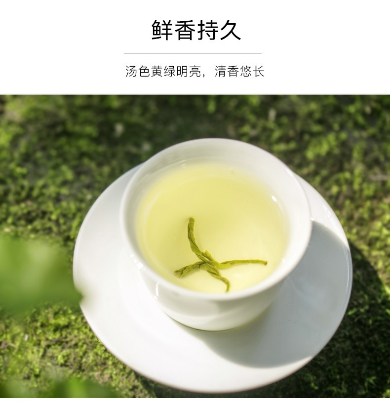 叙府 四川明前春芽高山绿茶金罐装125g