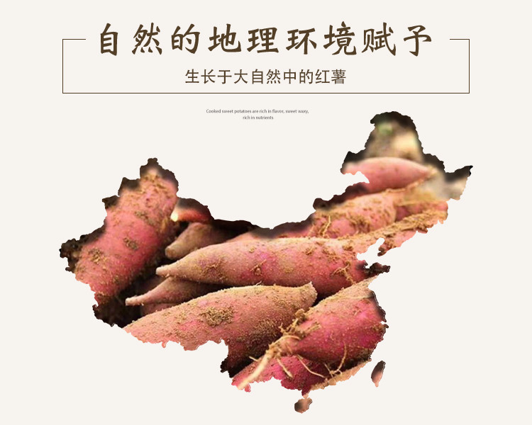  驿佳源 新鲜沙地蜜薯 西瓜红糖心红薯 5斤 糖心番薯