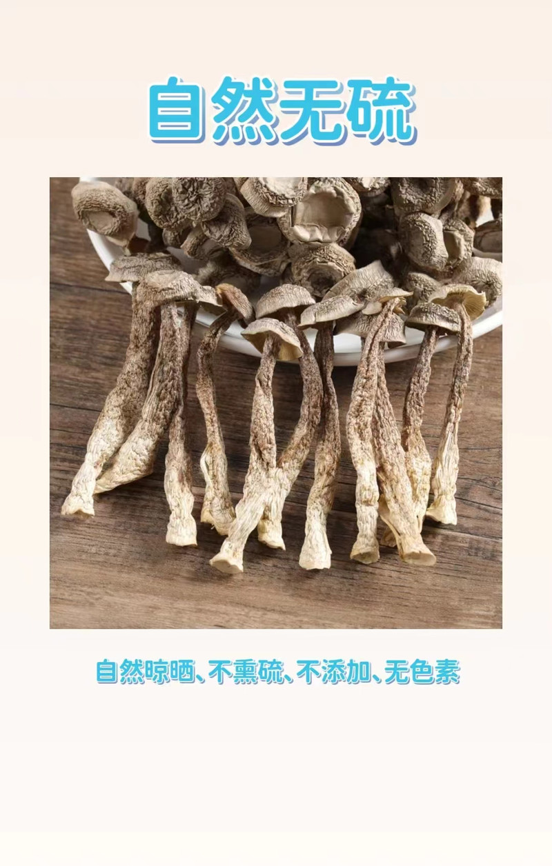 锋瑞 精选鹿茸菇干货特级新货无硫鹿茸菇新鲜美味250g-郏县菌菇