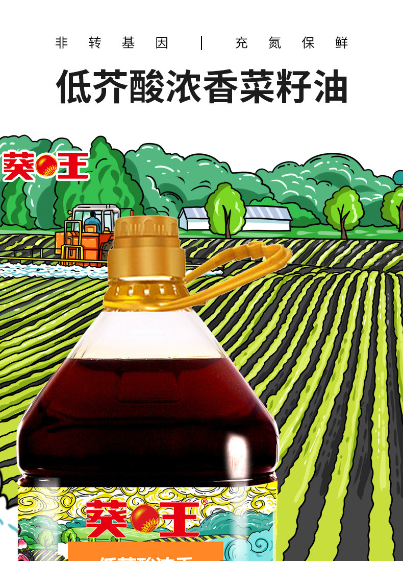 葵王 非转基因低芥酸浓香菜籽油 3.68L/桶