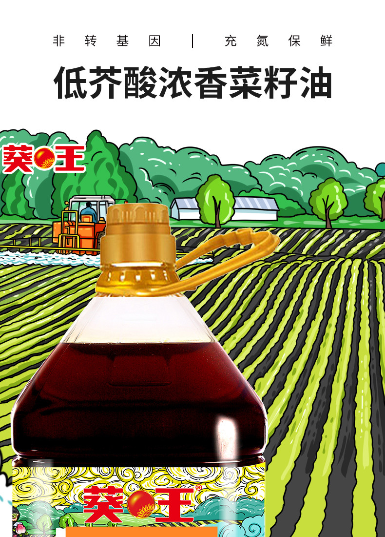 葵王 非转基因低芥酸浓香菜籽油  5.438L/桶