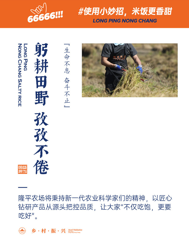 隆平芯米 耐盐碱大米真空装 2.5kg