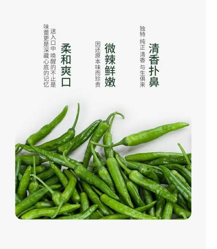 鹤龙湖 樟树港生鲜辣椒地标产品原产地一斤装