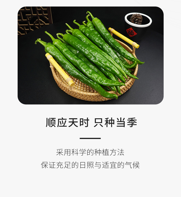 阳雀湖 正宗樟树港一级辣椒500g