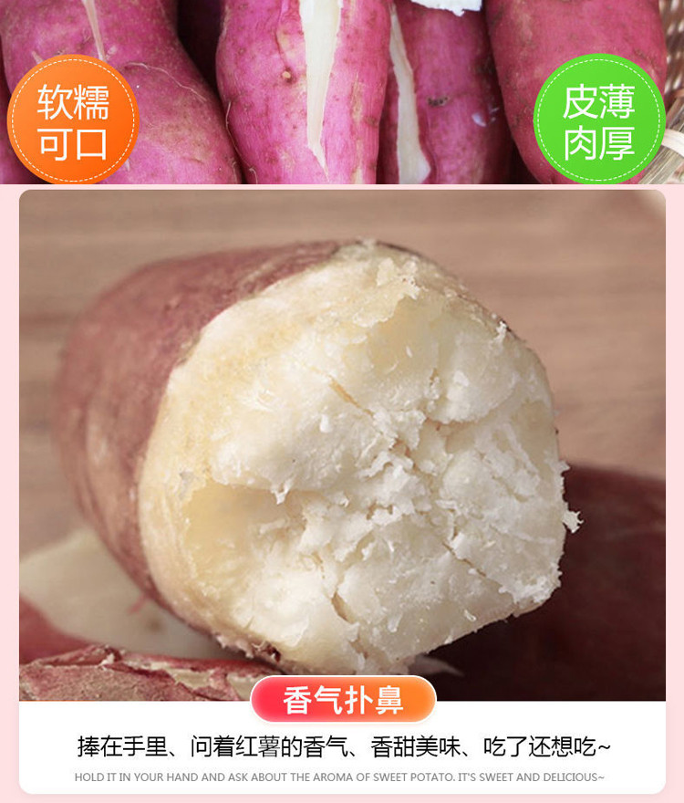 粤迎 白心板栗薯红薯粉糯白瓤地瓜新鲜白薯番薯2/5/9斤可选