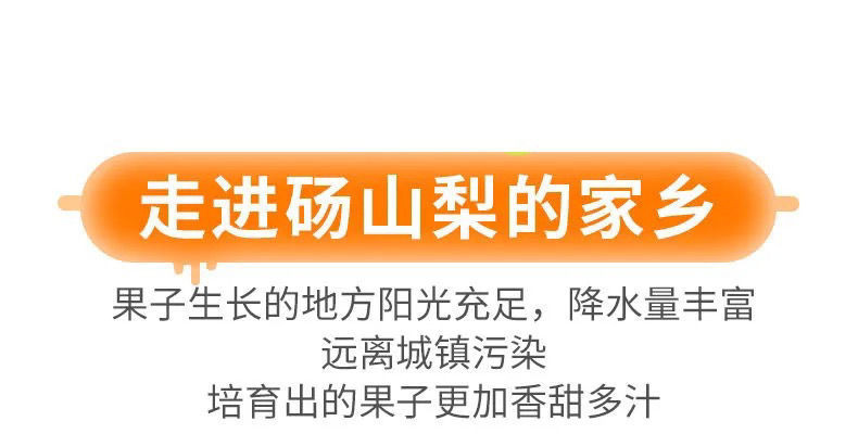 农家自产 安徽砀山 梨新鲜水果青梨皇冠梨