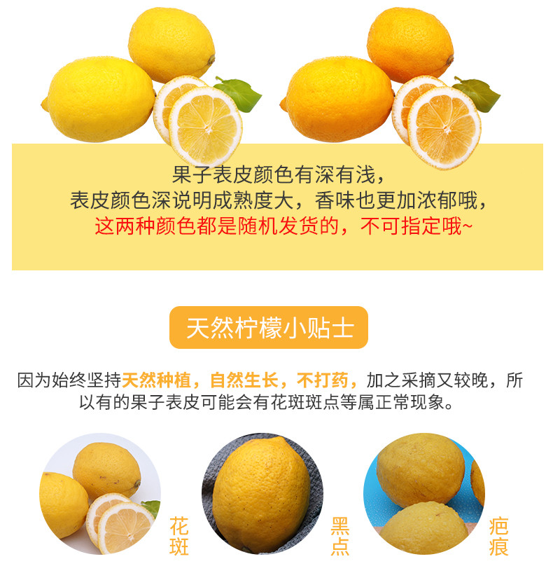 粤迎黄柠檬新鲜水果皮薄多汁香柠檬1/3/5/9斤可选