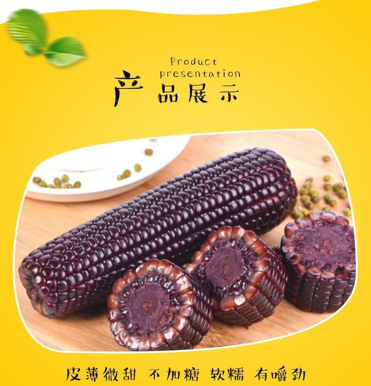 粤迎 东北黑糯玉米新鲜紫黏甜嫩苞米粒真空蔬菜4/8根可选