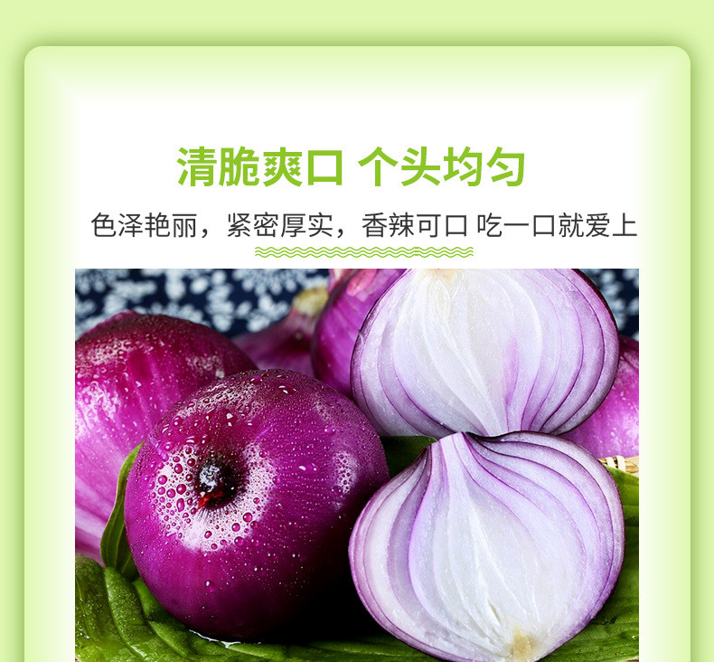 粤迎【领劵减5元】云南紫皮洋葱辛辣新鲜蔬菜3/5/9斤装