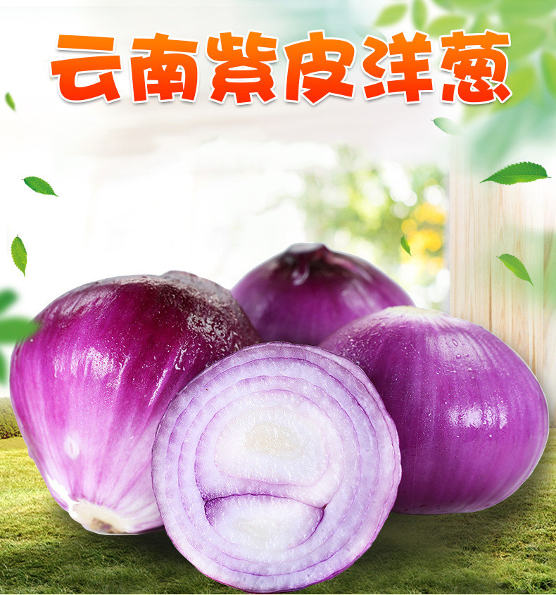 粤迎【领劵减5元】云南紫皮洋葱辛辣新鲜蔬菜3/5/9斤装