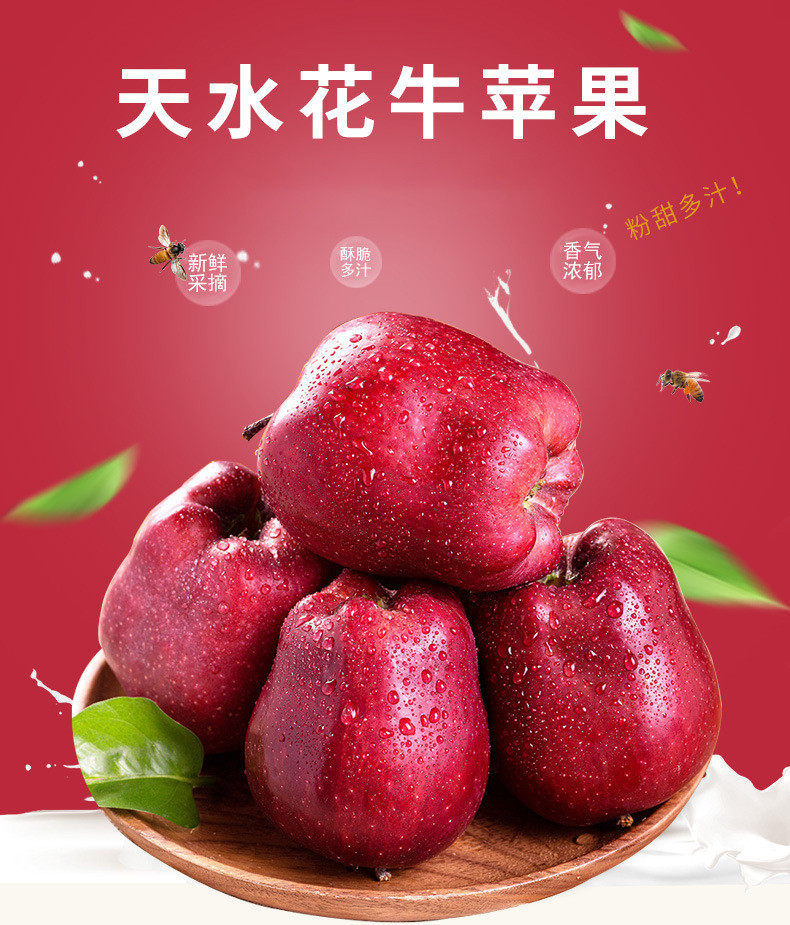 粤迎 【领劵减5元】甘肃天水花牛苹果新鲜水果宝宝辅食